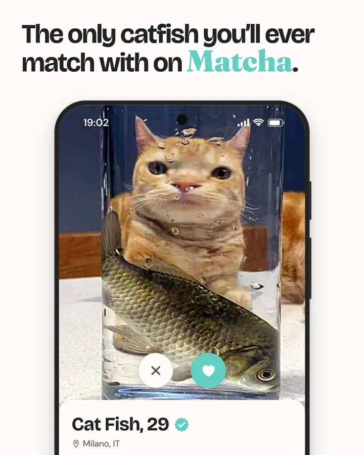 Instagram post: the only catfish you'll ever match with on Matcha
